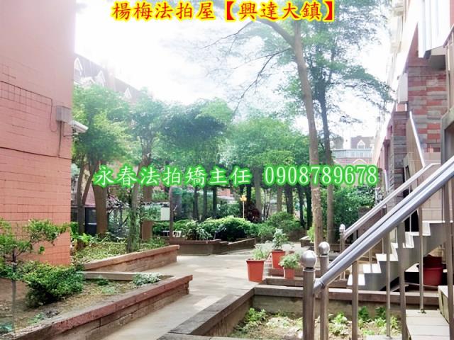 楊梅法拍透天-4