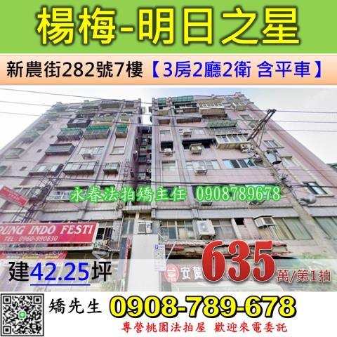 楊梅拍賣華廈-0