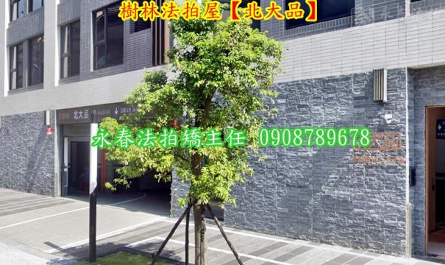 新北樹林華廈法拍-2